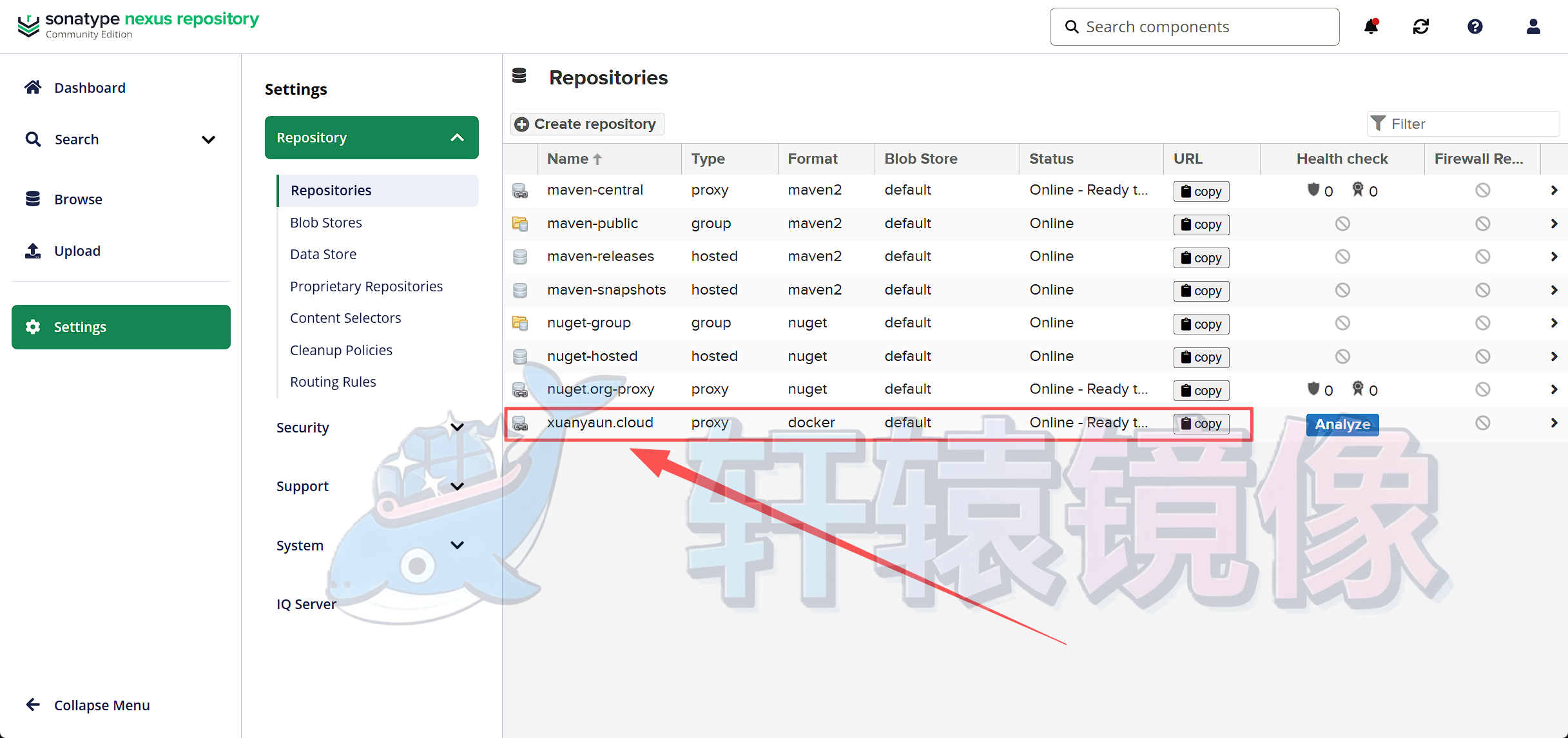 Nexus Docker Proxy 仓库创建完成后的界面