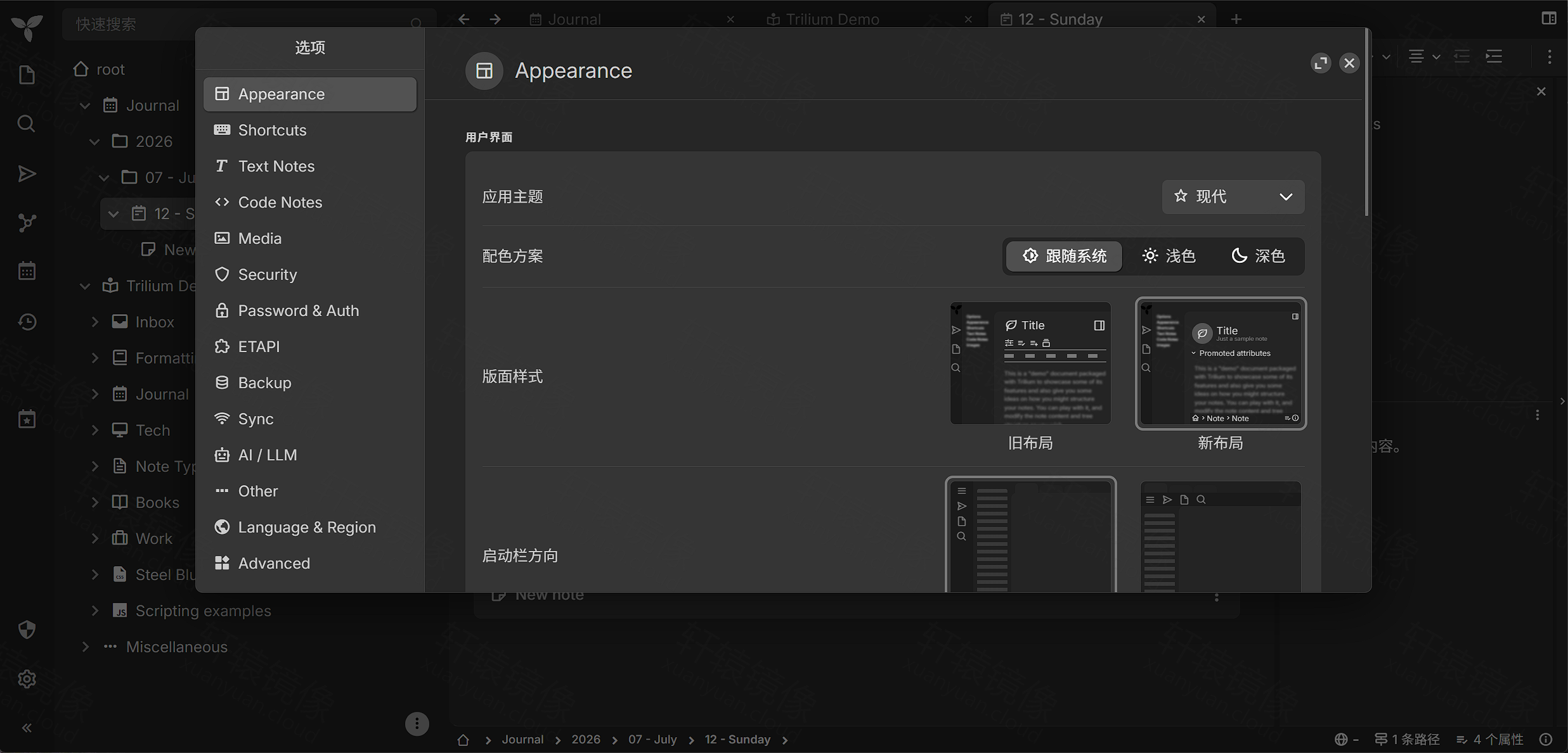 Trilium 选项:外观主题与深色模式