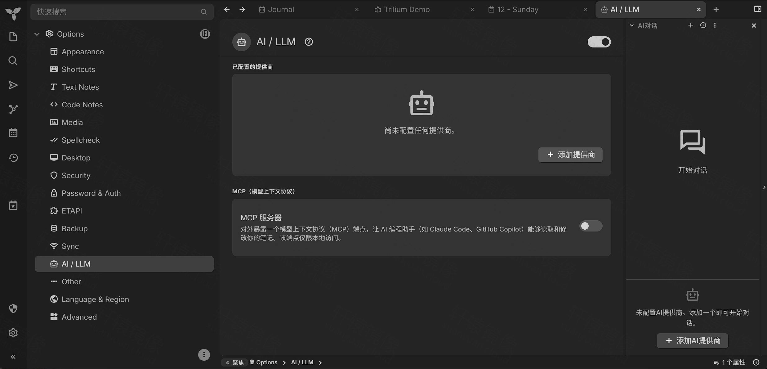 Trilium 选项:AI 提供商与 MCP 配置