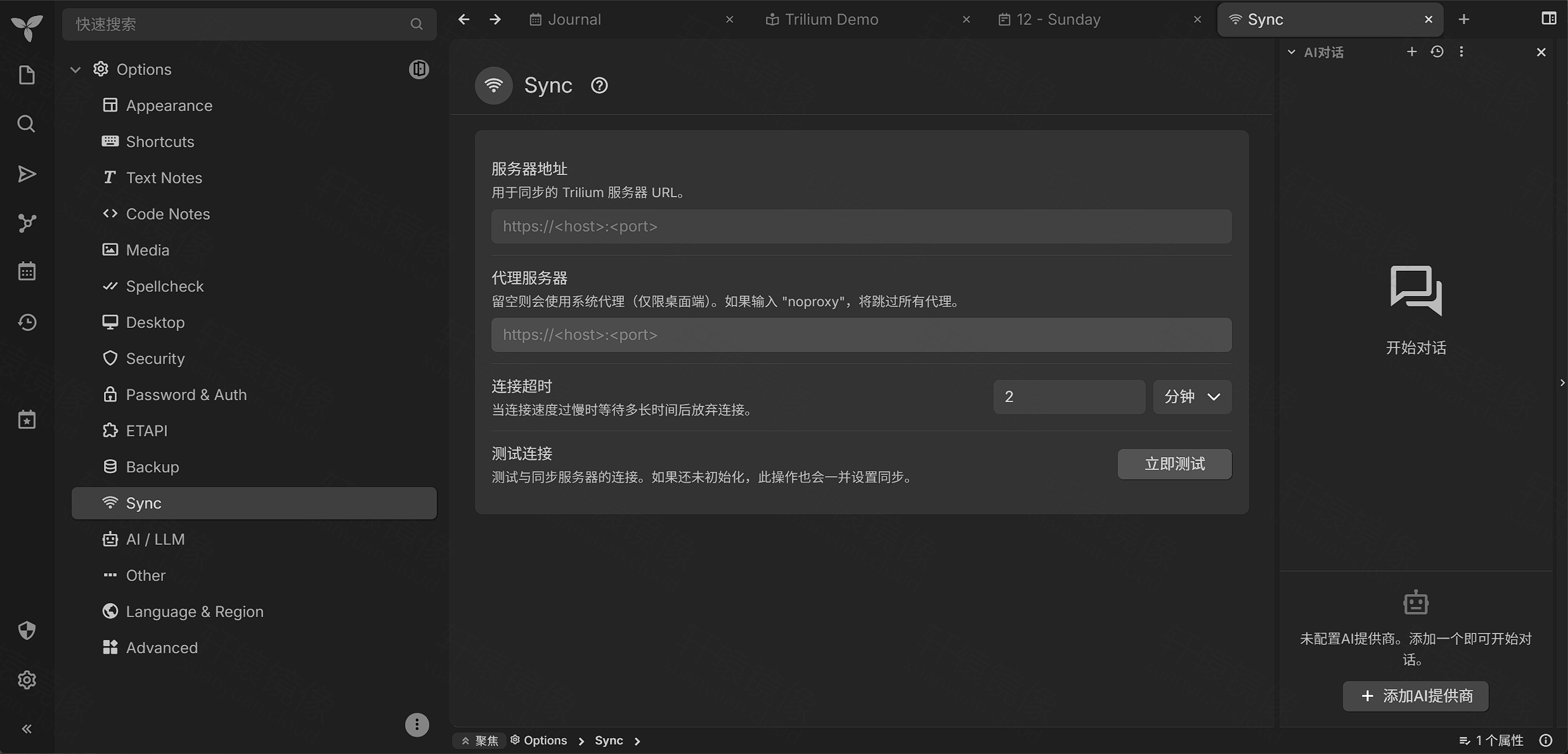 Trilium 选项:同步服务器地址配置